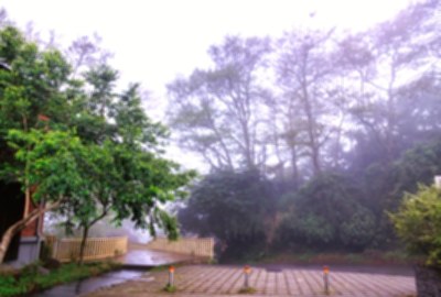 雲霧步道