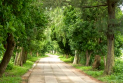 南山林道